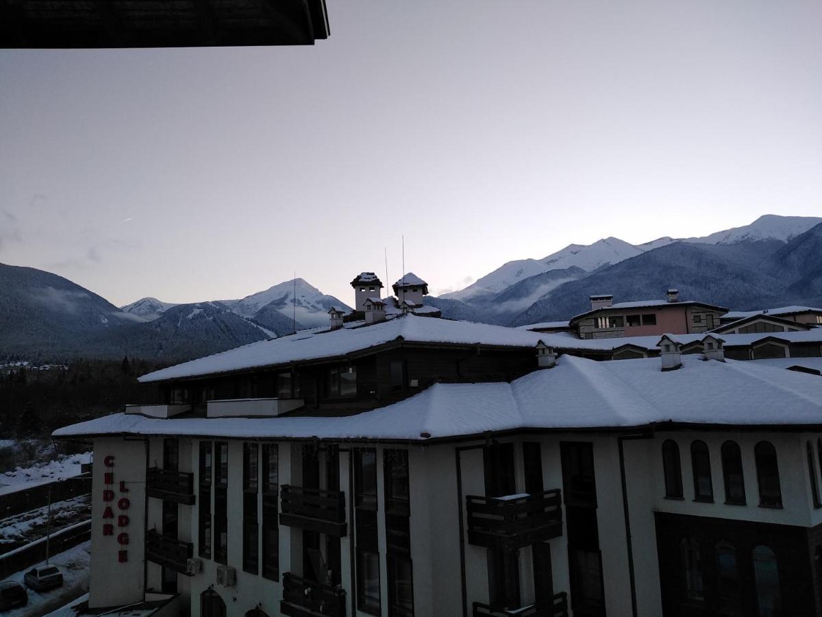 Bansko Royal Towers - Studio 153 Dış mekan fotoğraf